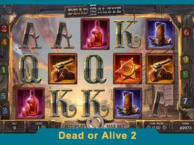 Игровой автомат Dead or Alive 2